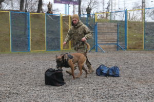КІНОЛОГИ ПОЛКУ АЗОВ ВІДВІДАЛИ НАВЧАЛЬНО-ТРЕНУВАЛЬНІ ЗБОРИ ТА ОТРИМАЛИ РОБОЧІ СЕРТИФІКАТИ
